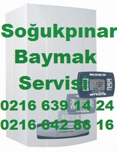 Baymak Soğukpınar, Soğukpınar Baymak, Soğukpınar Baymak Kombi Servisi, Baymak Servisi Soğukpınar